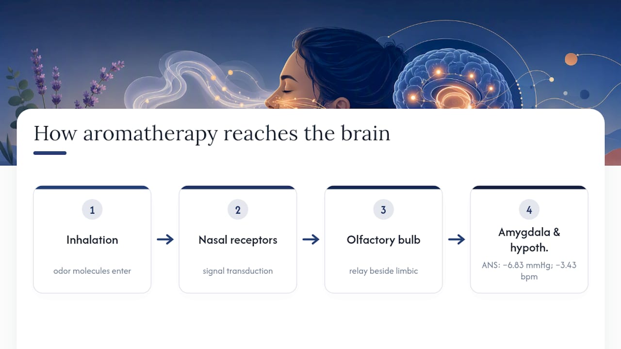Aromatherapy pathway and physiological changes