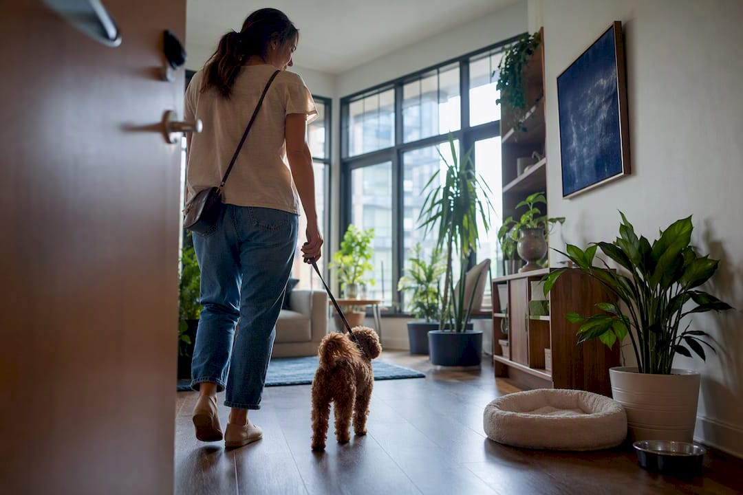 Tenant entering apartment carrying dog on leash