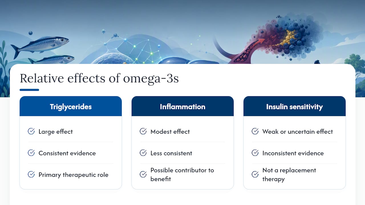 Beyond triglycerides: what omega-3s do for inflammation and insulin sensitivity — overview diagram