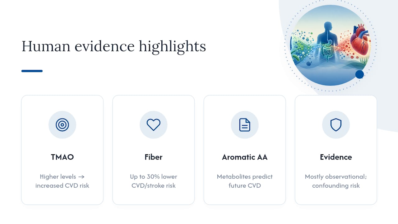 What does the human evidence actually show? — overview diagram