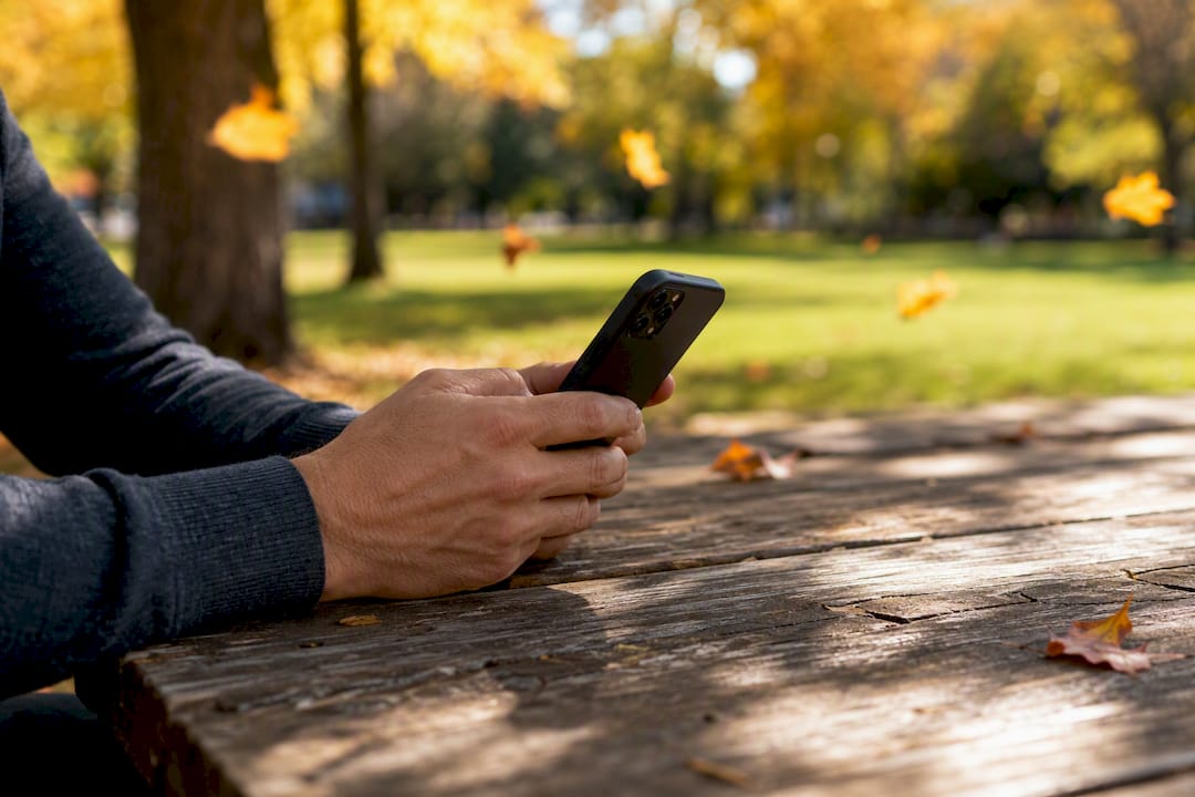 Hands holding smartphone searching UCC records
