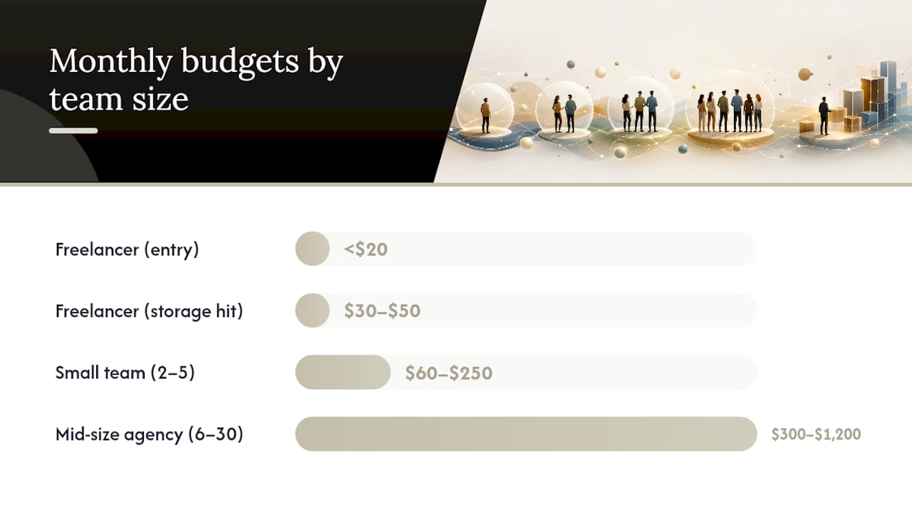 What Should Different Team Sizes Budget for Video Review Software? — overview diagram