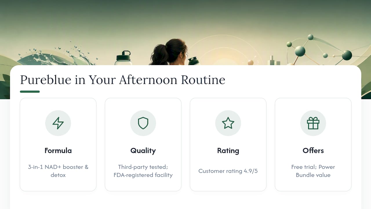 Where Pureblue Fits Into Your Afternoon Energy Routine — overview diagram