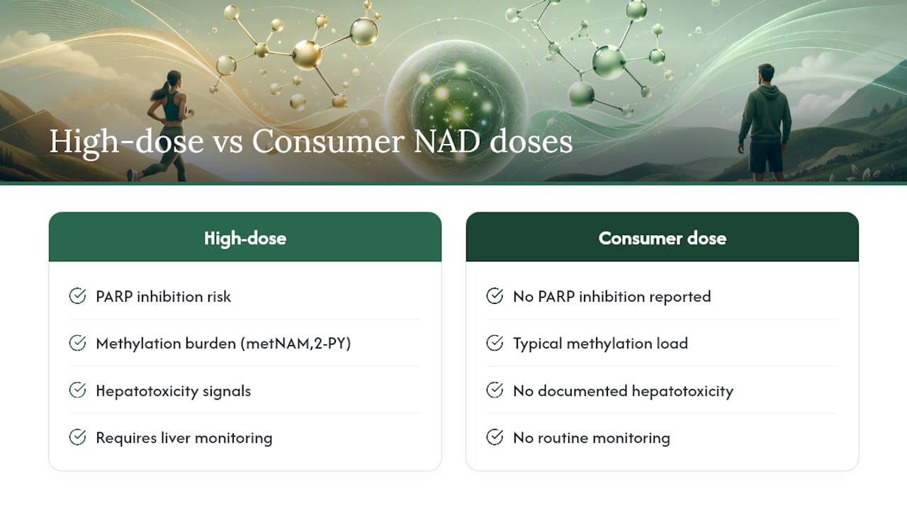 What the Science Says About High-Dose NAD Precursor Risks — overview diagram