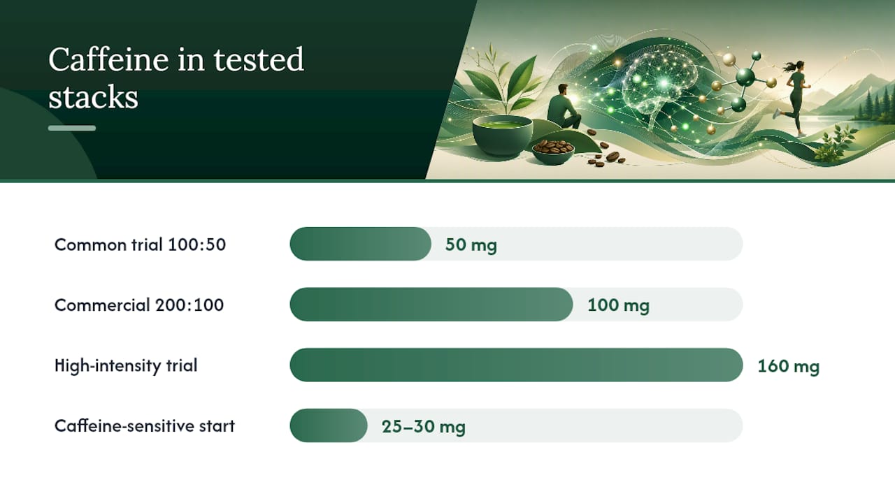L-Theanine and Caffeine Ratio, Dosage, and Timing That Match the Research — overview diagram