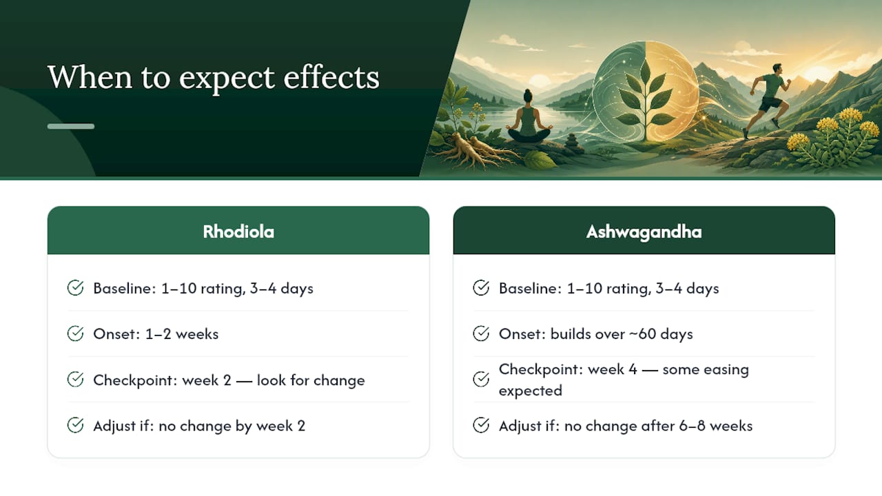 How to Tell If It's Working, and When to Adjust — overview diagram