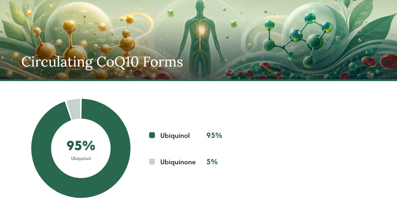 CoQ10 vs Ubiquinol: What's Actually Different Between Them? — overview diagram