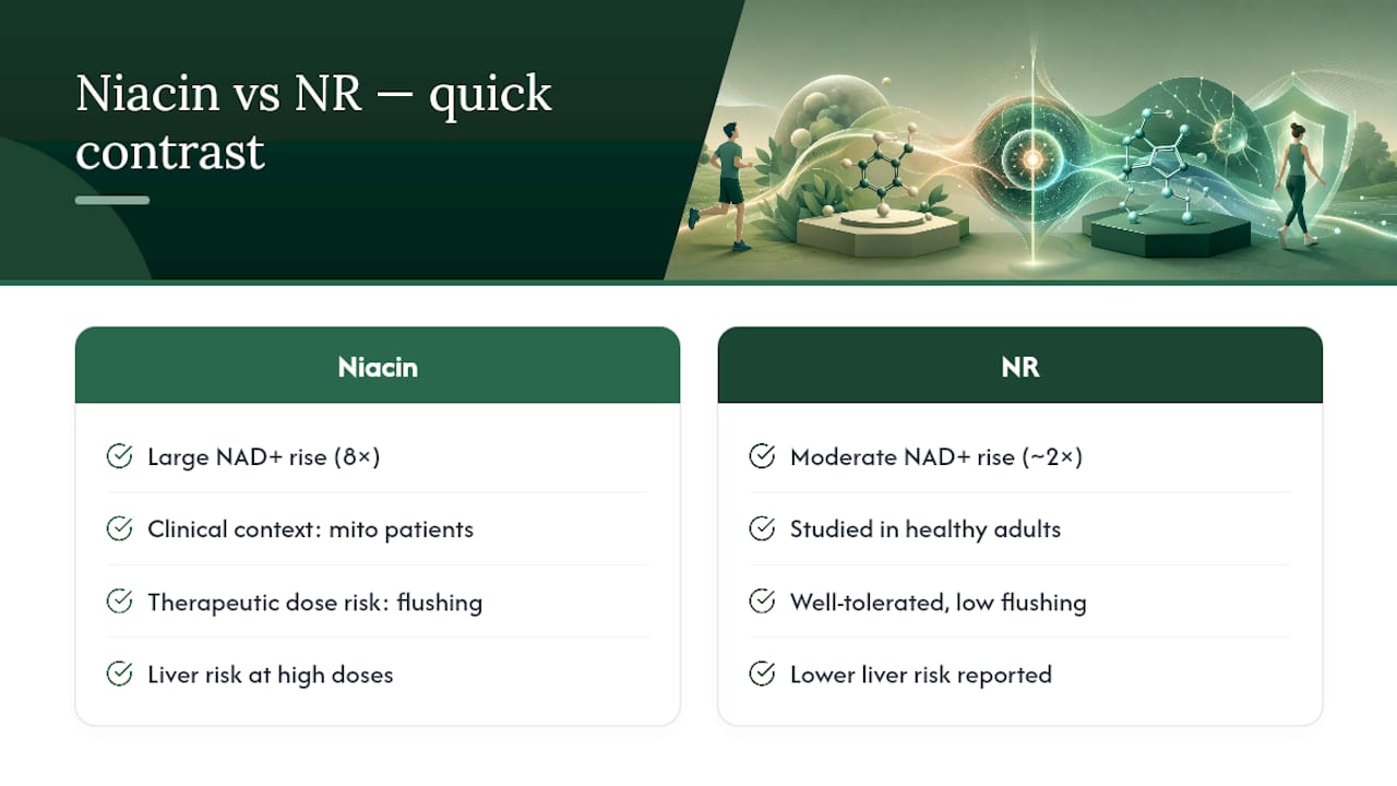Why I'd Push Back on the "Just Take Niacin" Advice — overview diagram