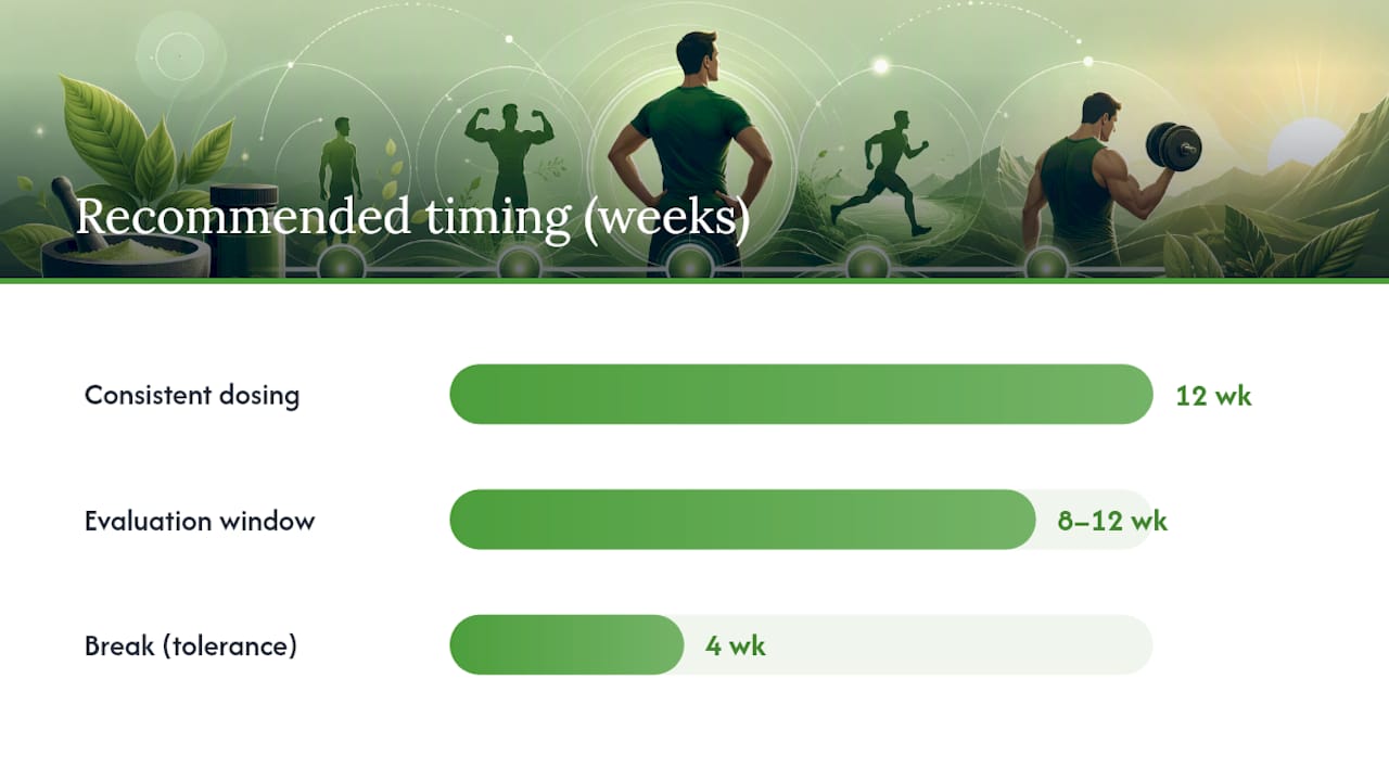 How Long Testosterone Boosters Take to Work — overview diagram