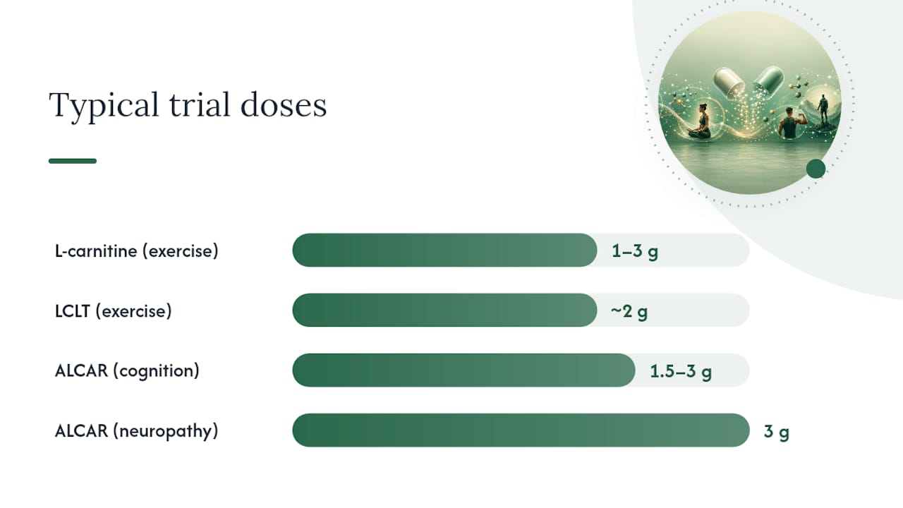 Dosing Ranges, Side Effects, and When to Check In With a Doctor — overview diagram