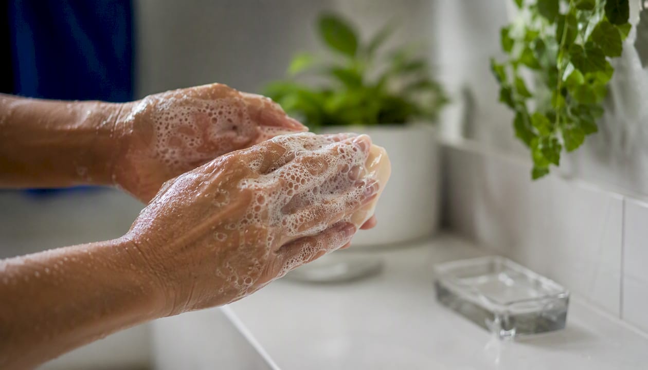 Hands creating creamy foam with syndet shampoo bar