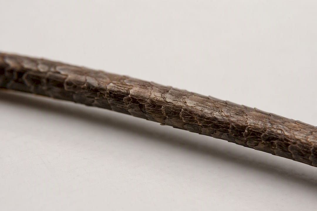 Close-up of rough high porosity hair strand texture