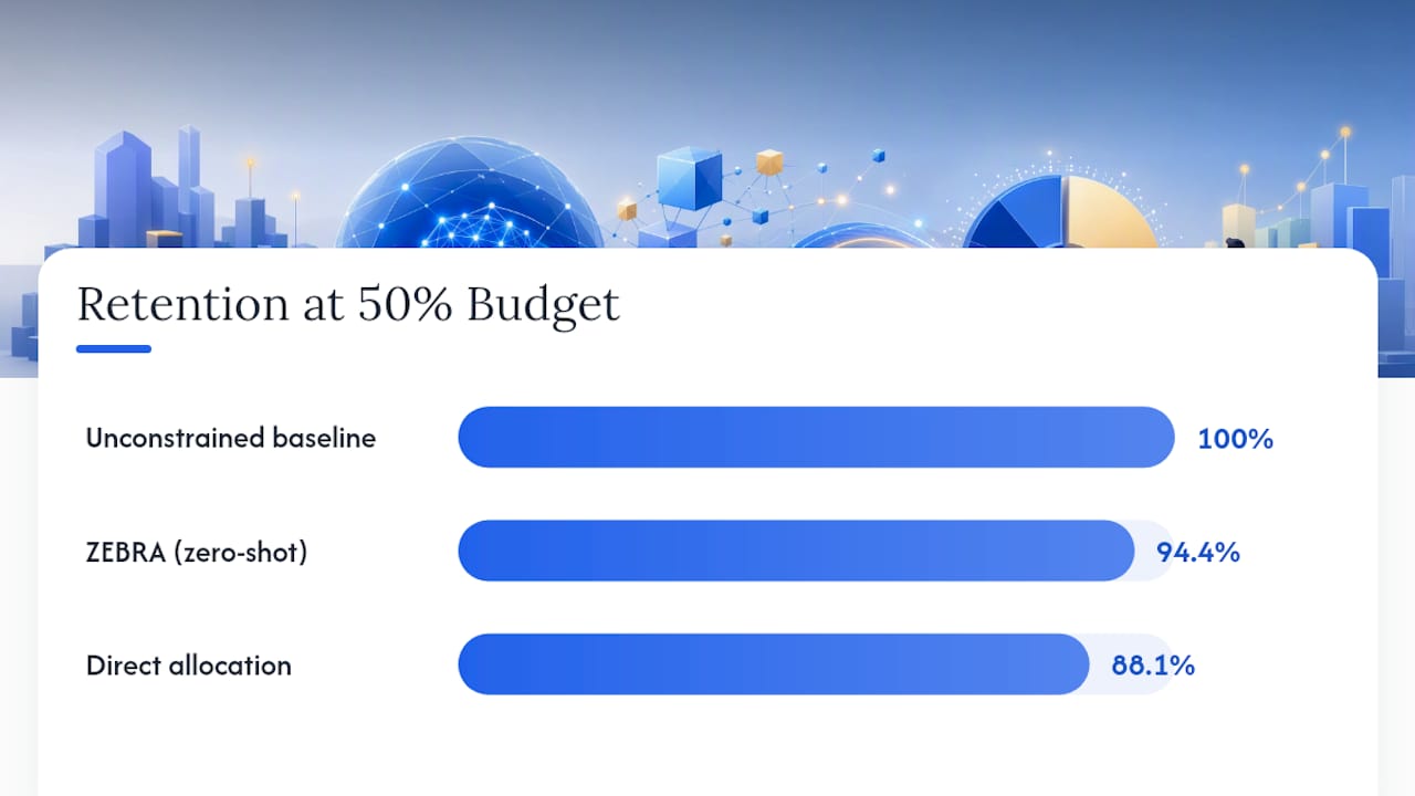 Which Algorithm Fits Your Budget Optimization Problem? — overview diagram