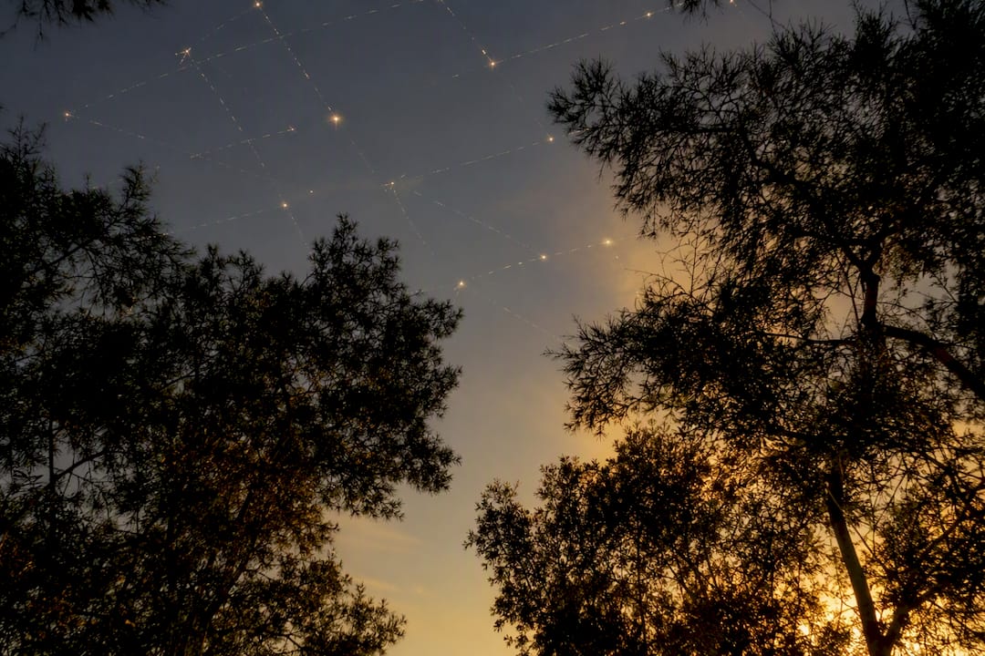 Trees and satellite sky view showing GPS signal obstacles