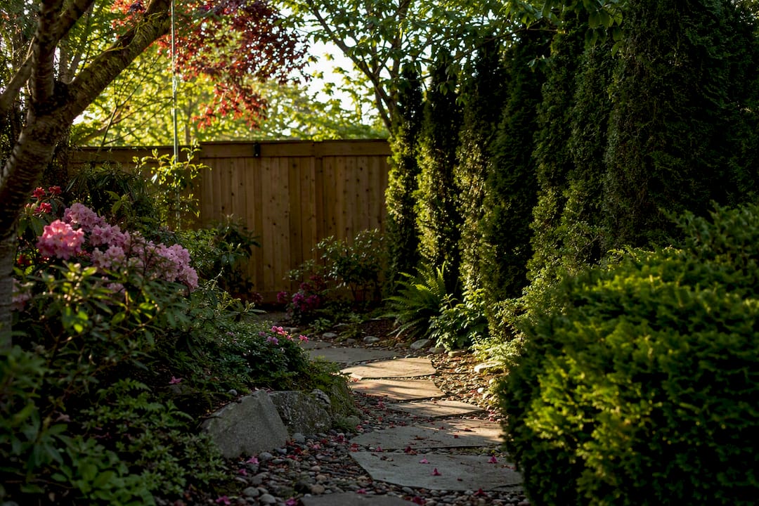 Backyard with metal fence, trees, and cars blocking signals