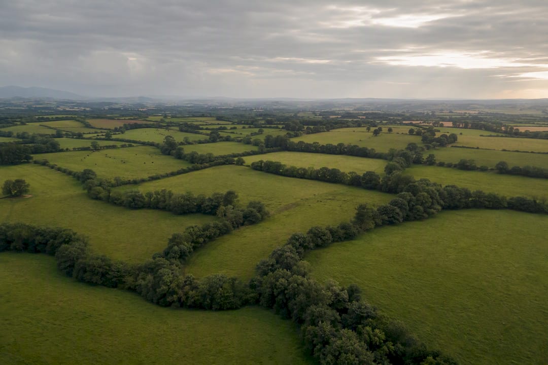 Large farm pasture with satellite overlay concept