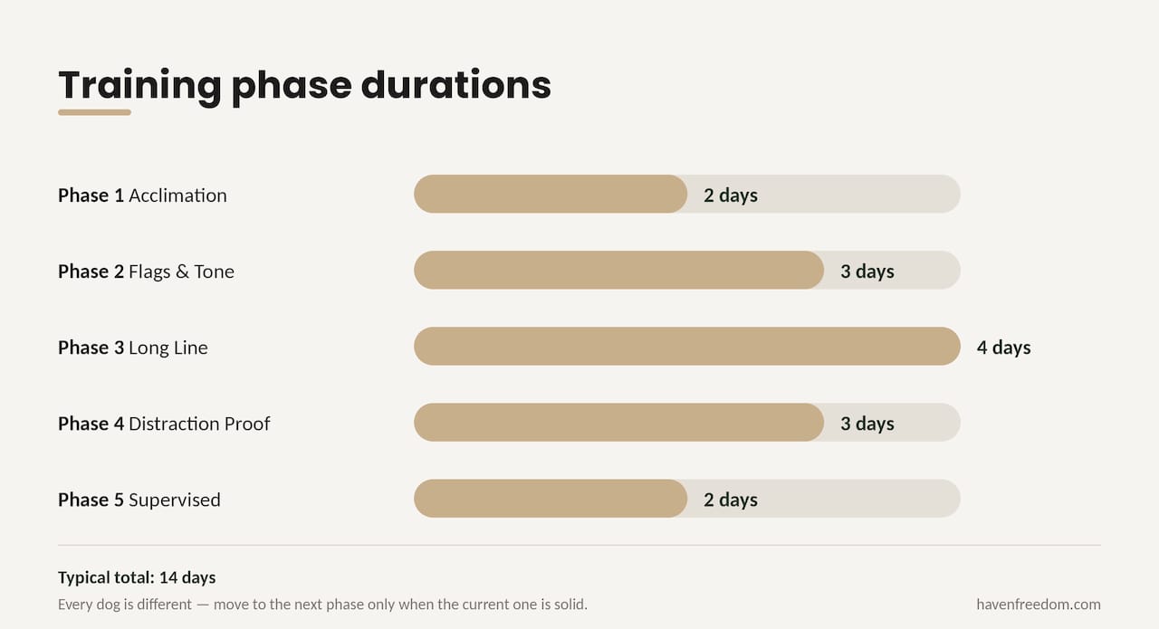 Diagram of 14-day training phases with pass criteria