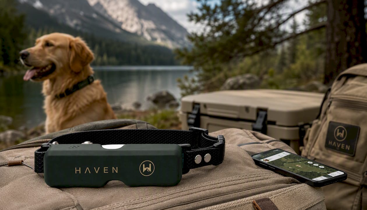 HAVEN Freedom Wireless GPS Dog Fence and Tracking Collar
