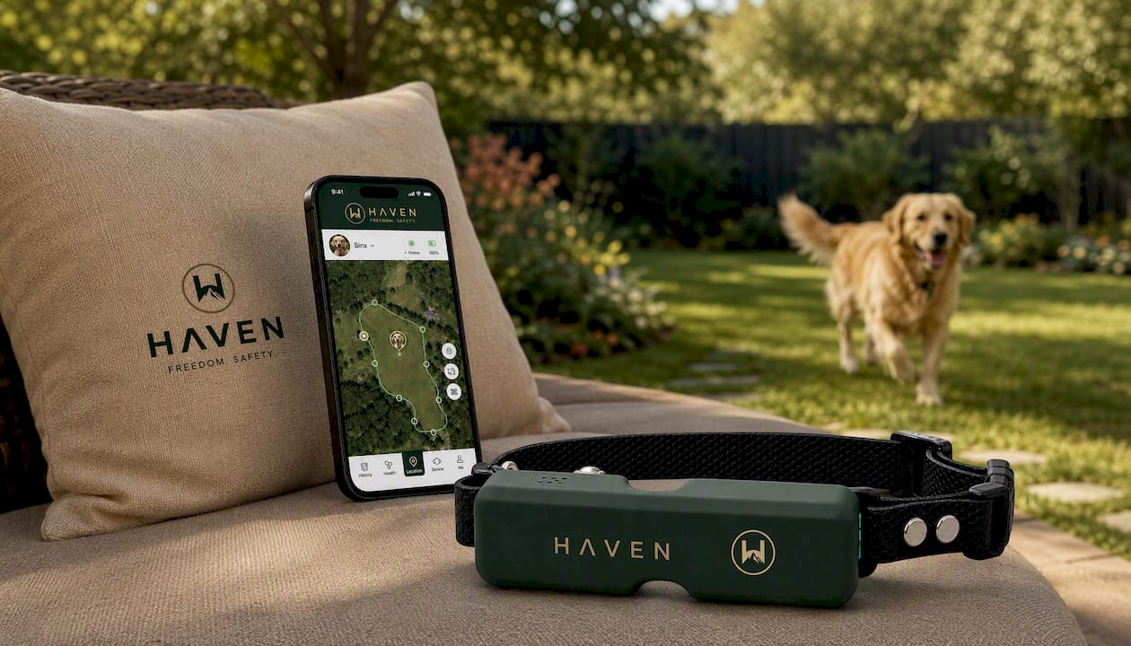 HAVEN Freedom Wireless GPS Dog Fence and Tracking Collar
