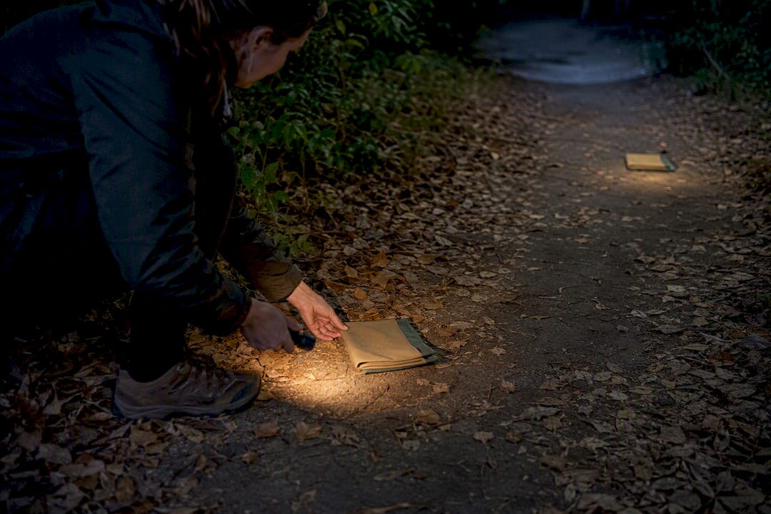 Two scent stations along nighttime trail