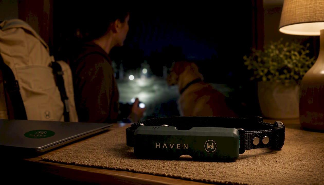 HAVEN Freedom Wireless GPS Dog Fence and Tracking Collar