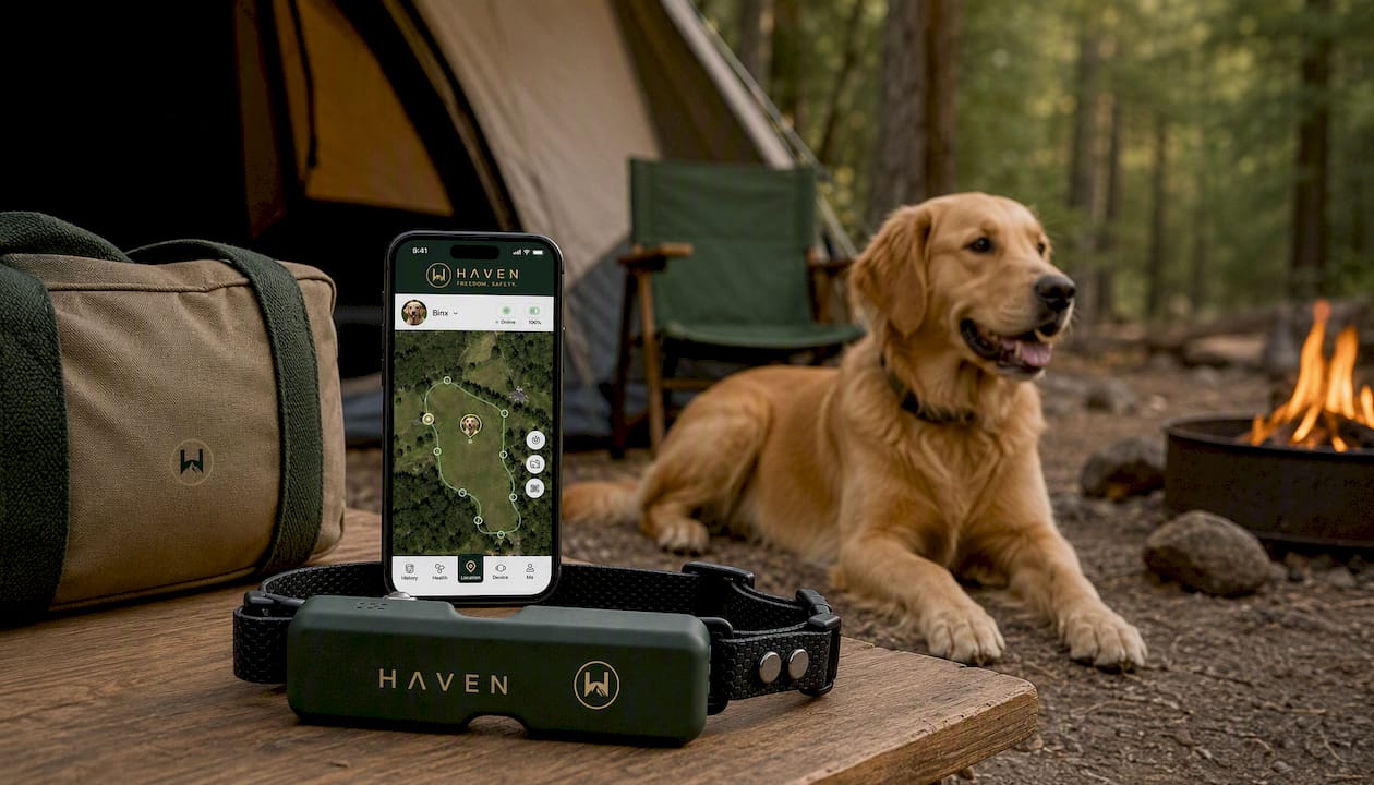 HAVEN Freedom Wireless GPS Dog Fence and Tracking Collar