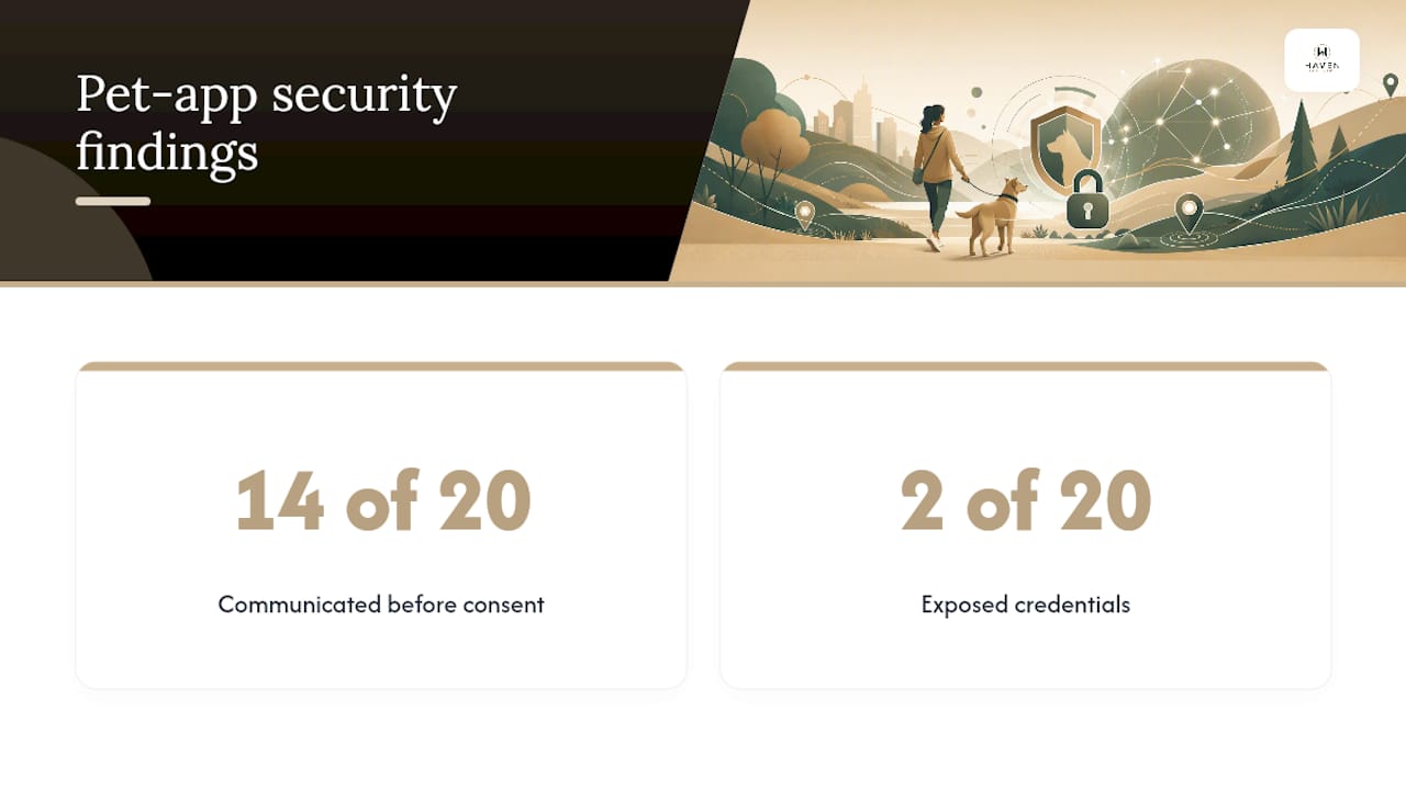 Measured security findings across 20 pet apps