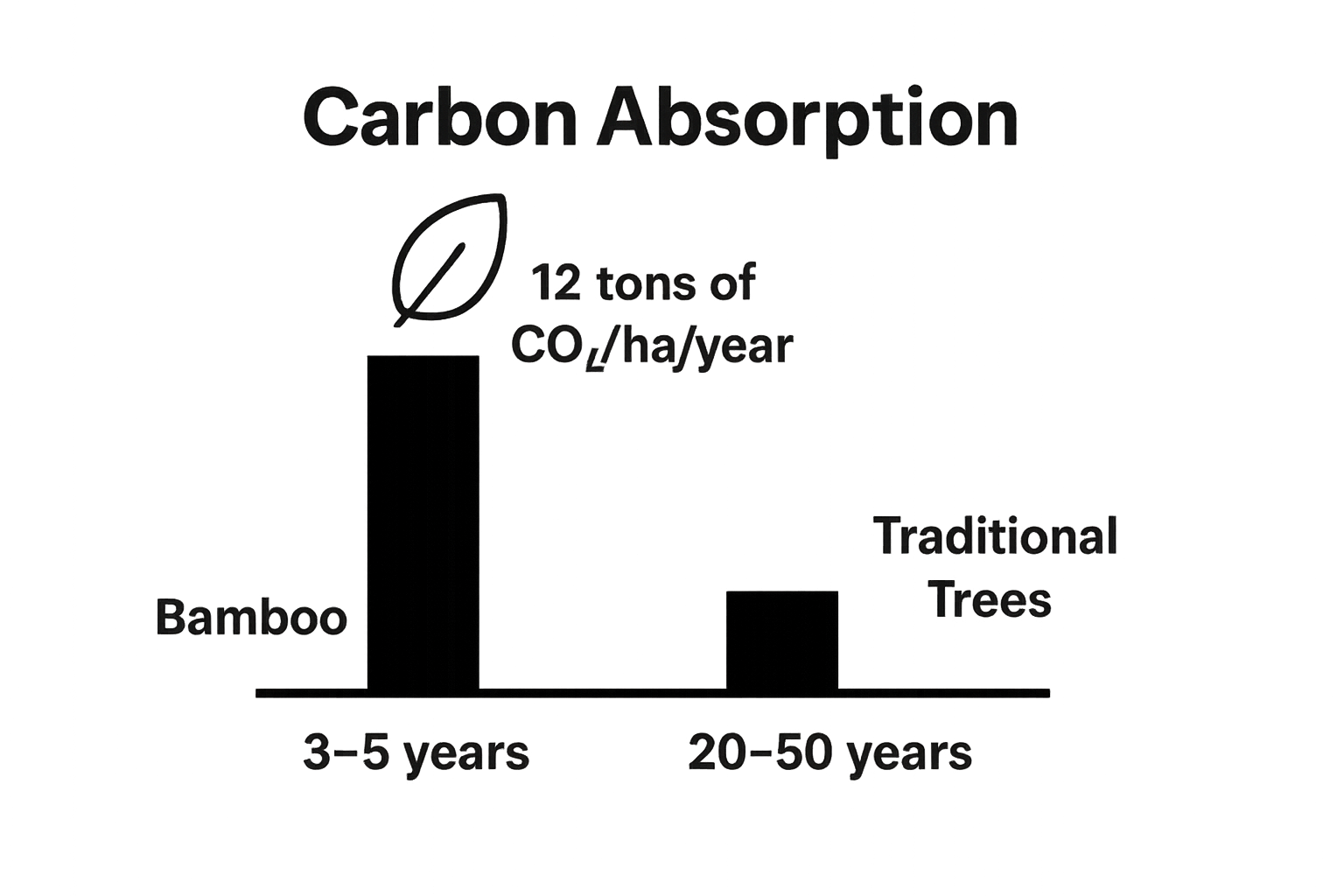 Bamboo vs trees carbon sequestration infographic