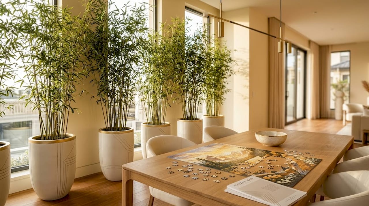 Bamboo planters used as room divider