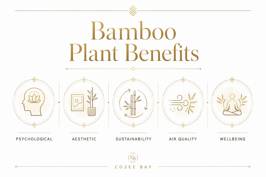 Infographic illustrating key bamboo plant benefits