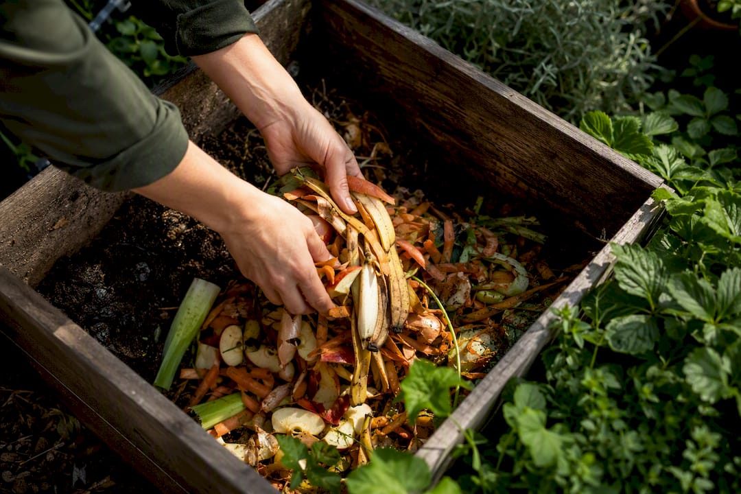Hands adding fruit scraps to compost pile