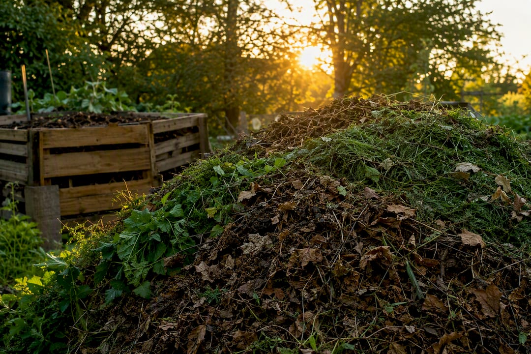 Layered leaves and grass clippings in compost bin