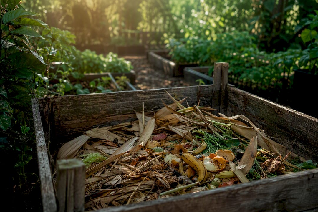 Outdoor compost bin with bamboo scraps and garden waste