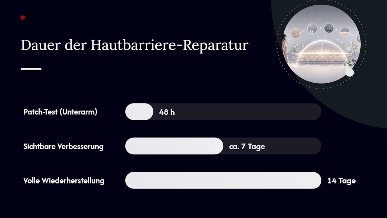 Wie sieht eine minimalistische Reparatur-Routine für 7 bis 14 Tage aus? — overview diagram