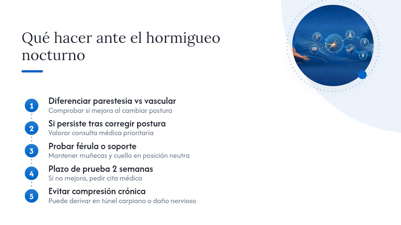 Recomendación práctica de especialistas — overview diagram