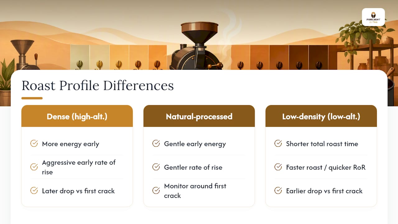 Diagram comparing roast profiles for coffee bean types
