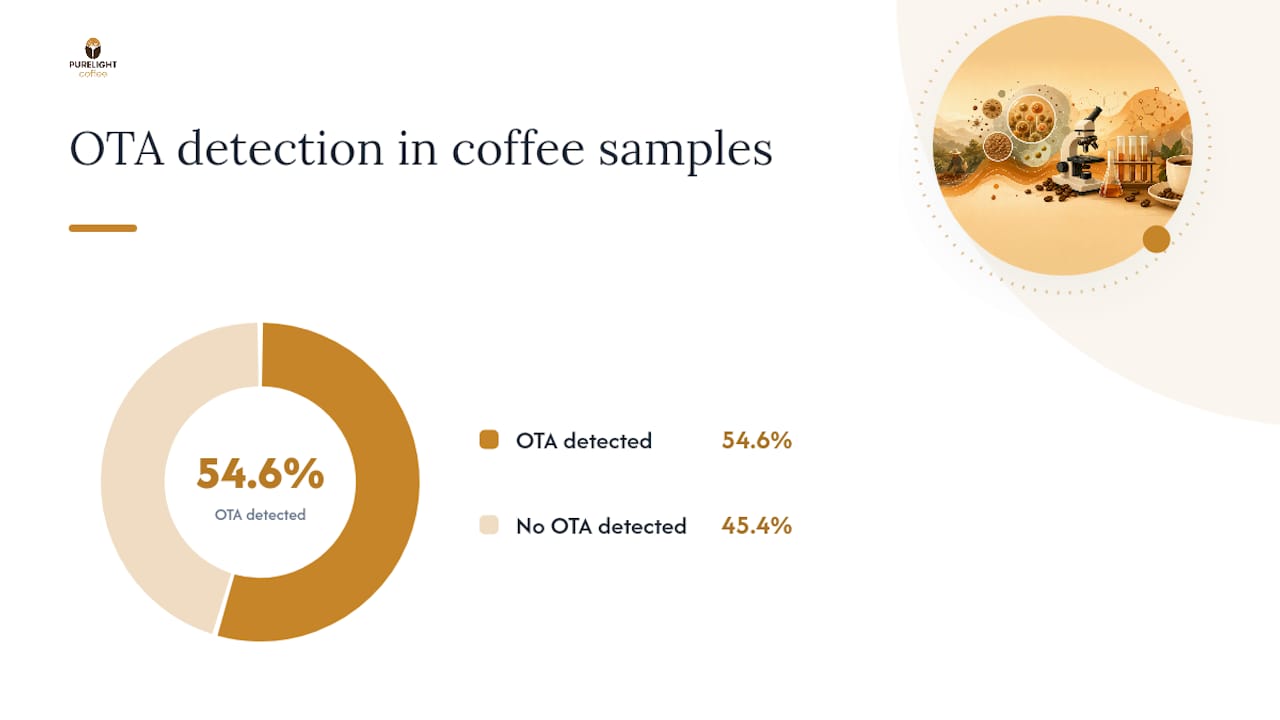 How Common Are Mycotoxins in Coffee, Really? — overview diagram