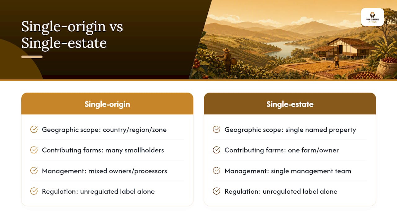 Single-origin versus single-estate coffee comparison