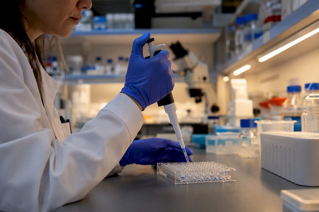 Scientist pipetting antibody solution into plate