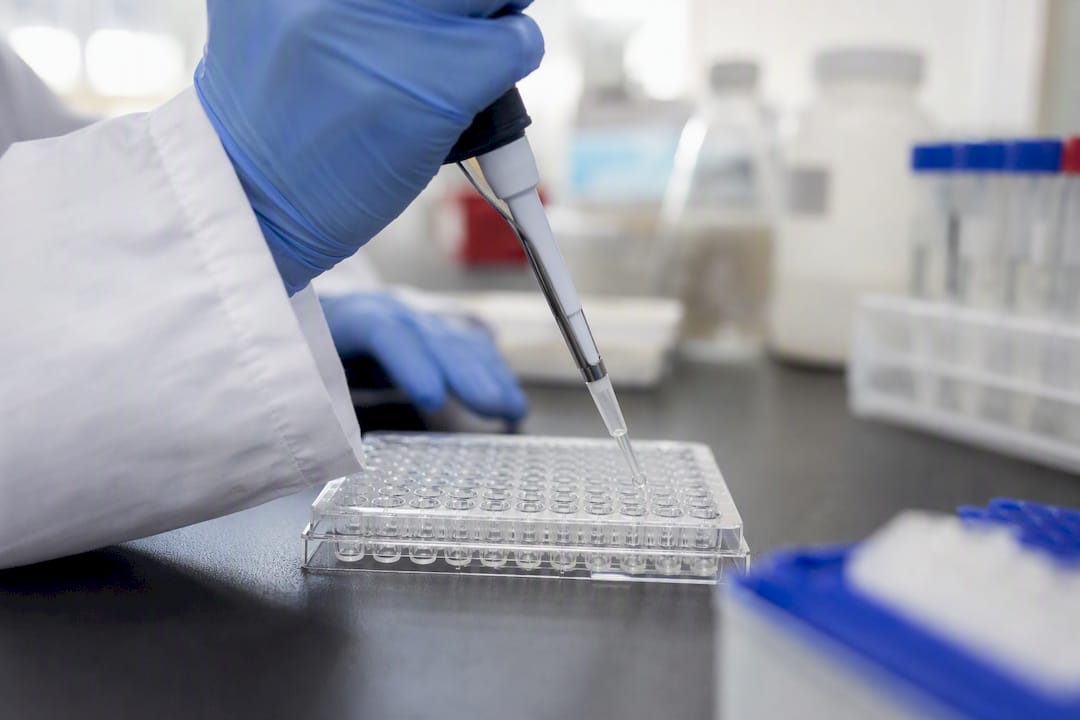 Pipetting detection antibody into ELISA microplate well