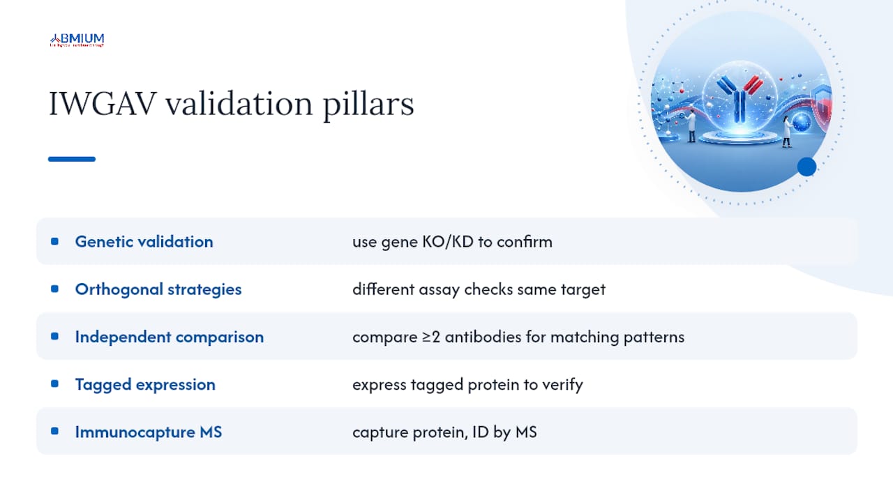 Five IWGAV antibody validation pillars