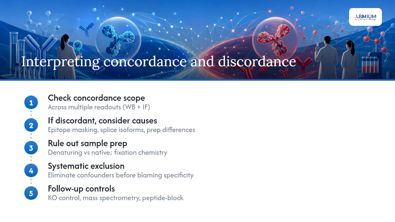 How do you interpret concordant and discordant results? — overview diagram