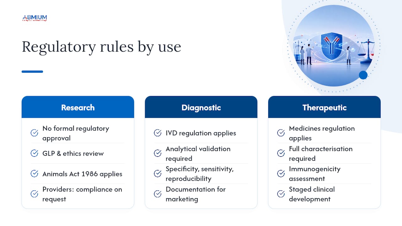 What regulatory and ethical rules apply to antibody development? — overview diagram