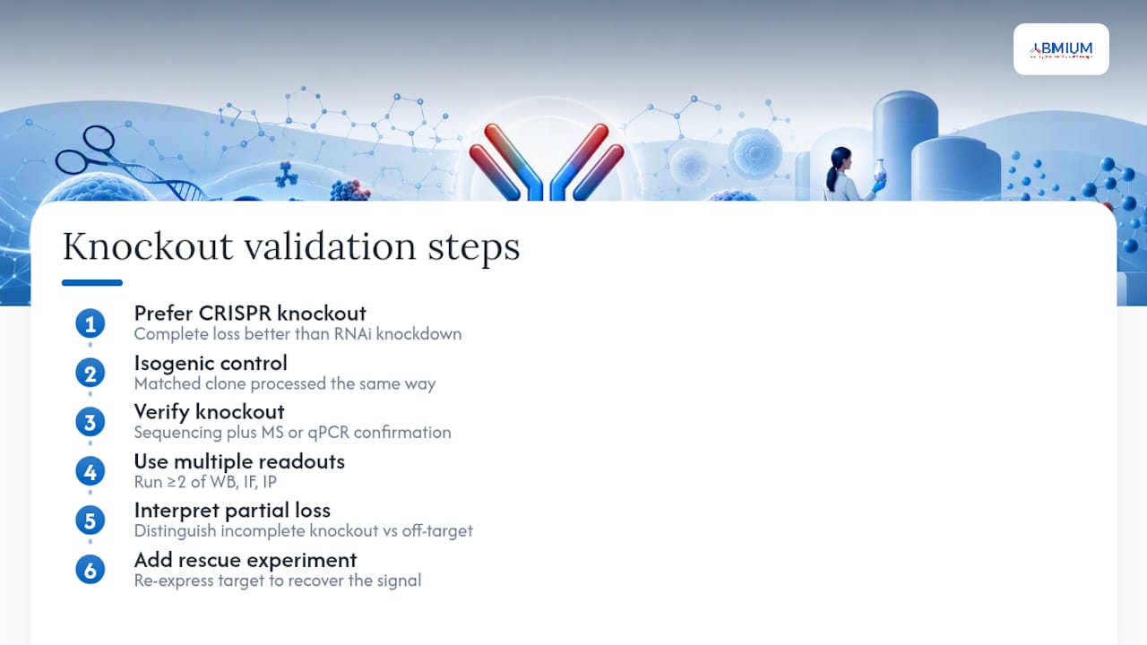 Genetic strategies: designing and interpreting knockout validation — overview diagram