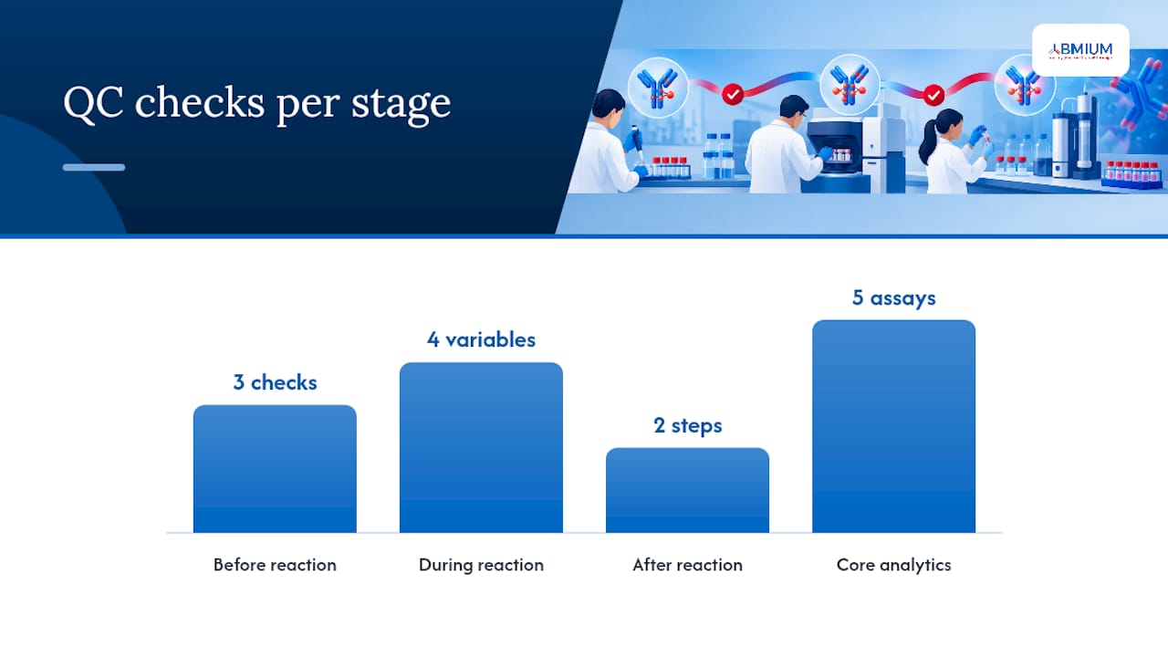 Building a reliable conjugation workflow and QC checklist — overview diagram