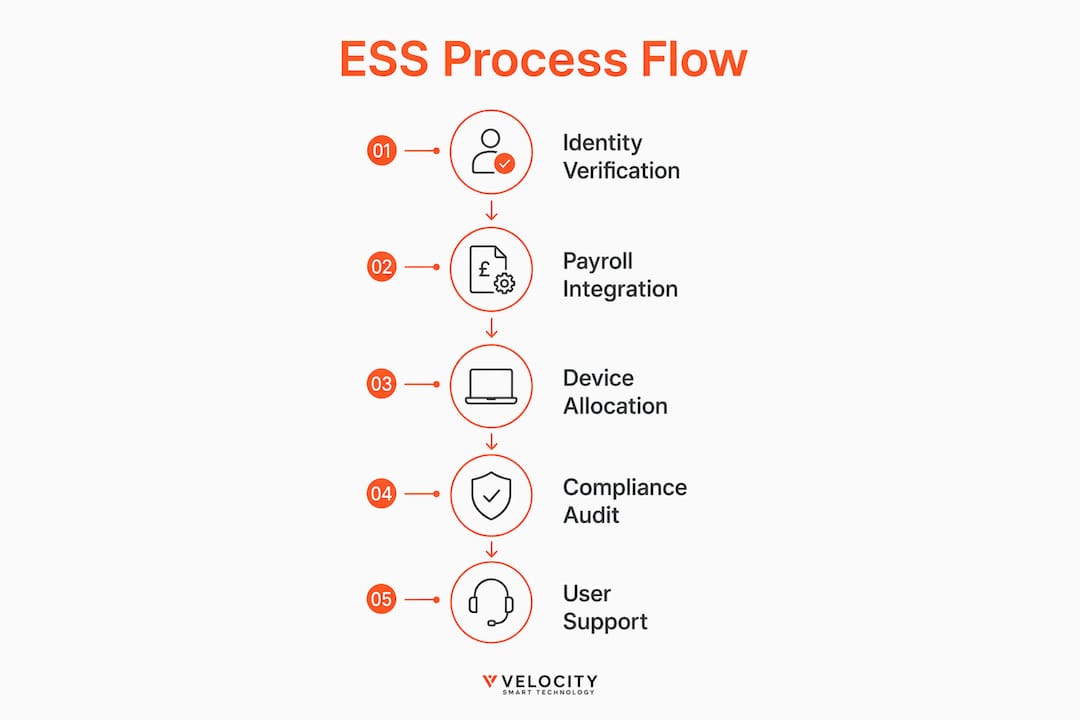 Infographic depicting ESS process steps