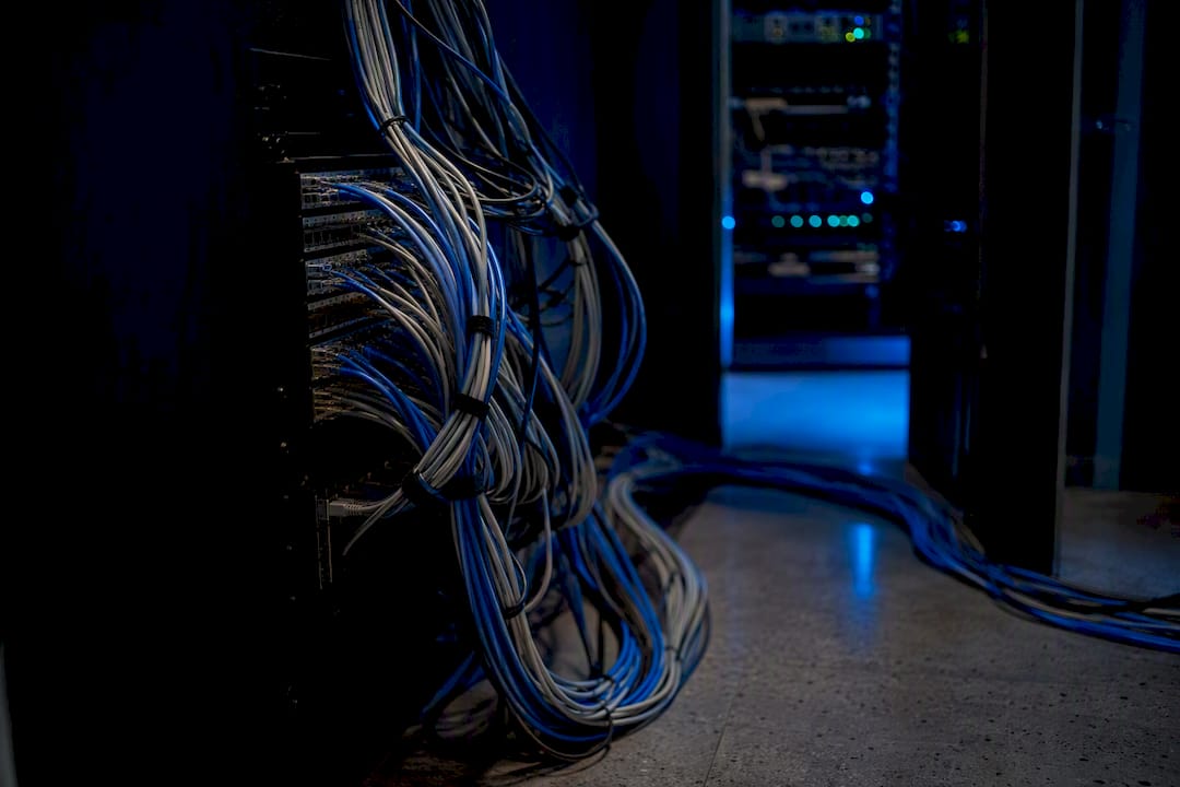 Network cables plugged into server switch