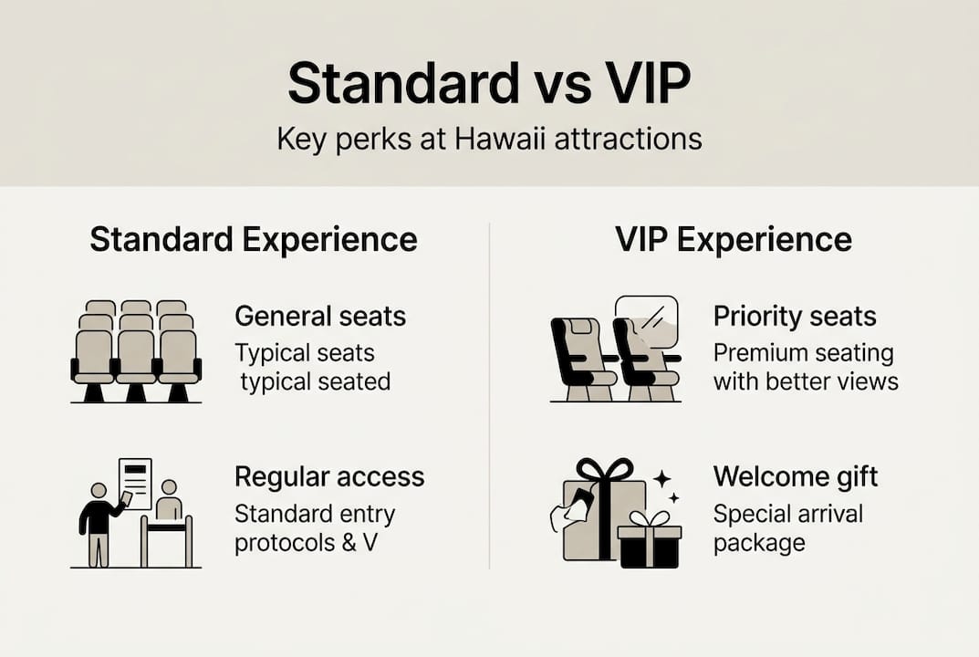 Infographic comparing standard and VIP experiences