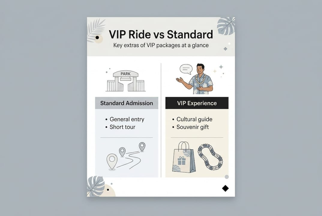Infographic comparing VIP ride and standard admission