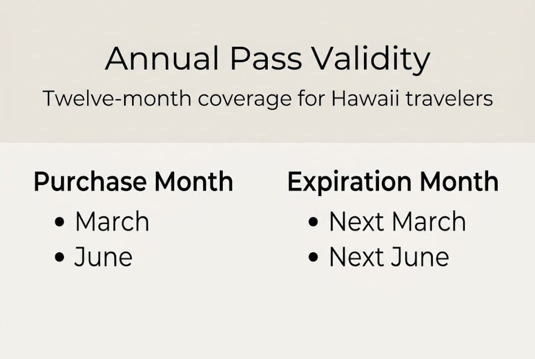 Infographic showing annual pass validity timeline